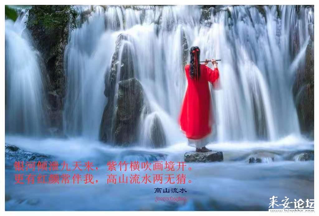卡姆登市场