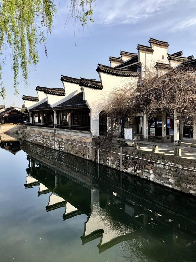 饥饿的哈利